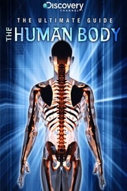 Ultimate Guide The Human Body' Poster