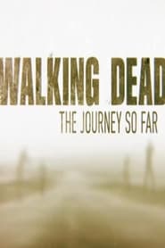 The Walking Dead The Journey So Far' Poster
