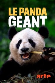 Der Groe Panda' Poster