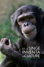 Das Geheimnis der Affen Kulturforschung bei Schimpansen' Poster
