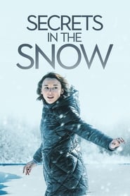 Secrets in the Snow' Poster
