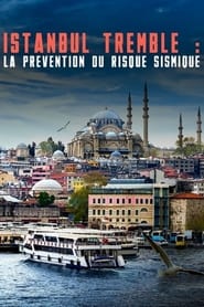 Istanbul bebt Risiko und Frhwarnung' Poster