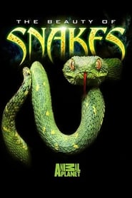 Beauty of Snakes' Poster