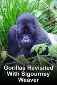 Gorillas Revisited with Sigourney Weaver' Poster