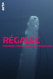 Rgalec premiers contacts avec le poisson roi' Poster