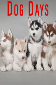 Dog Days' Poster