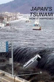Streaming sources forJapan Tsunami How It Happened