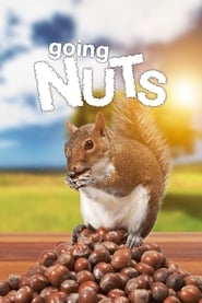 Going Nuts Tales from the Squirrel World' Poster