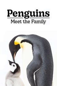 Penguins Meet the Family' Poster
