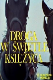 Droga w swietle ksiezyca' Poster