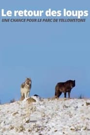 Die Rckkehr der Wlfe Das Wunder im YellowstoneNationalpark' Poster