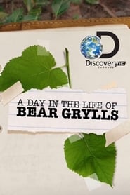 A Day in the Life of Bear Grylls' Poster