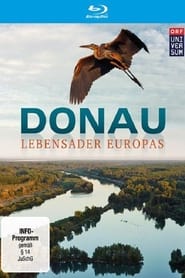 Danube Europes Amazon' Poster