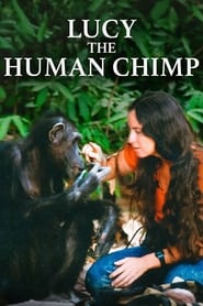 Lucy the Human Chimp' Poster
