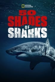 Fifty Shades of Sharks' Poster