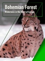 Bhmerwald  Wildnis im Herzen Europas' Poster