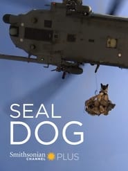 SEAL Dog' Poster