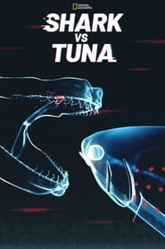 Shark vs Tuna' Poster