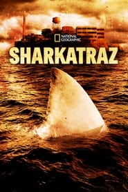 Sharkatraz' Poster