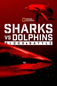 Sharks vs Dolphins Blood Battle' Poster
