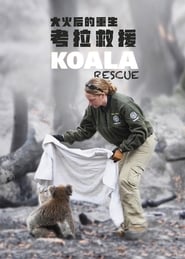 Koala Rescue' Poster