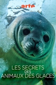 Les Secrets des animaux des glaces' Poster