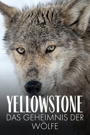 Yellowstone  Das Geheimnis der Wlfe' Poster