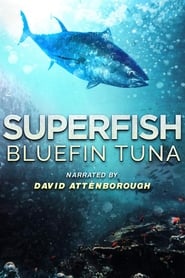 Superfish Bluefin Tuna' Poster