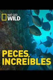 Incredible Fish' Poster