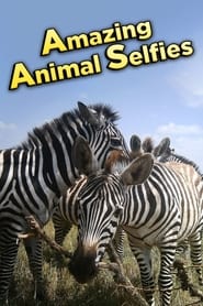 Amazing Animal Selfies' Poster