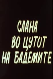 Slana vo cutot na bademite' Poster