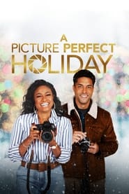 A Picture Perfect Holiday' Poster