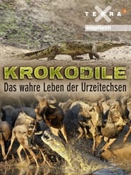 Krokodile  Das wahre Leben der Urzeitechsen' Poster