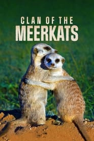 Clan of the Meerkat' Poster