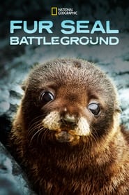 Fur Seals Battle for Survival' Poster