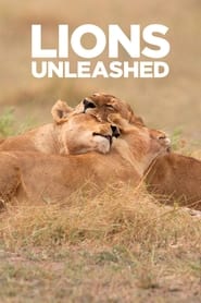 Lions Unleashed' Poster