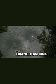 The Orangutan King' Poster