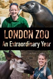 London Zoo An Extraordinary Year' Poster