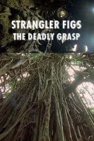 Strangler Figs The Deadly Grasp' Poster