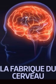 La fabrique du cerveau' Poster