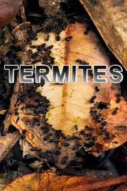 Termites The Inner Sanctum