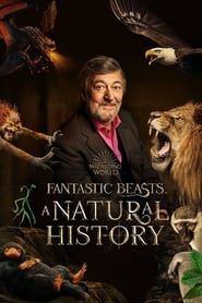 Fantastic Beasts A Natural History' Poster