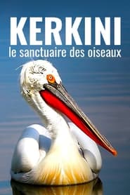 Kerkini le sanctuaire des oiseaux' Poster