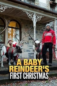 A Baby Reindeers First Christmas' Poster
