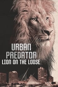 Urban Predator Lion on the Loose' Poster