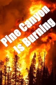 Pine Canyon Is Burning' Poster