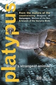 Platypus Worlds Strangest Animal' Poster