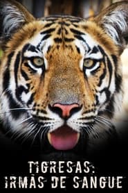 Tigress Blood' Poster