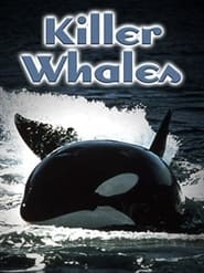 Killer Whales Up Close and Personal' Poster