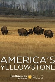 Americas Yellowstone' Poster